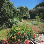 Rosa Dei Venti *