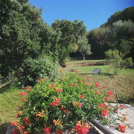 Rosa Dei Venti *