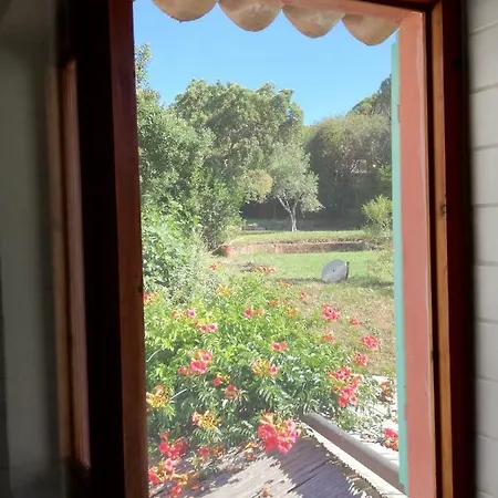Rosa Dei Venti Tatil Evi